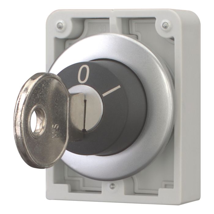 EATON M30C-FWRS SLEUTELSCHAKELAAR 30MM VLAK 2 (1pc) main product photo