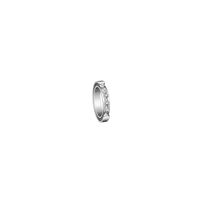 INA ELGES 61810-2RS-Y (1pc) main product photo