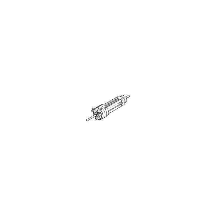 FESTO 556534 DSL-40-25-270-P-A-S2-B (1pc) main product photo