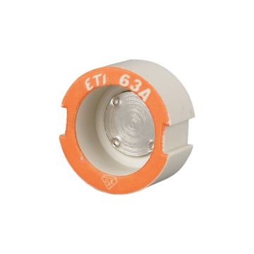 • Article: Z-DIII/PS-63A PASSCHROEF DIII E33 63A • Manufacturer: EATON • Condition: New • Price: Attractive!