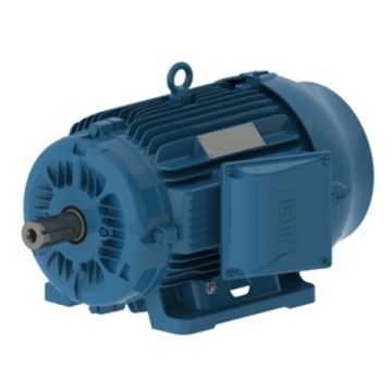 • Article: W22 IE3 GY 180L-8 11kW 8p B3R • Manufacturer: WEG • Condition: New • Price: Attractive!