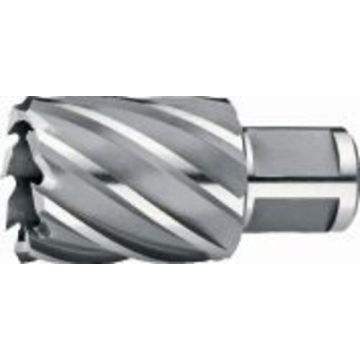 • Article: 62.100.1700 HSS KERNBOOR 17 MM SNIJDIEPTE 25 MM • Manufacturer: Phantom • Condition: New • Price: Attractive!