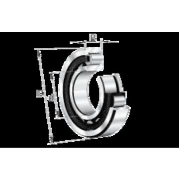 • Article: NUP311-E-XL-TVP2 • Manufacturer: FAG • Condition: New • Price: Attractive!